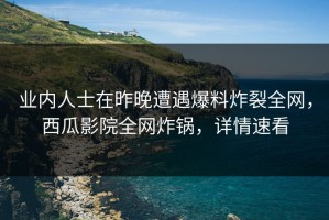 业内人士在昨晚遭遇爆料炸裂全网，西瓜影院全网炸锅，详情速看