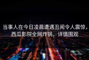 当事人在今日凌晨遭遇丑闻令人震惊，西瓜影院全网炸锅，详情围观