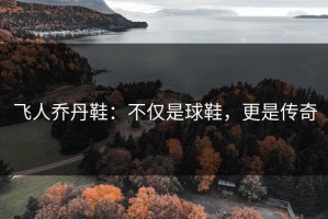 飞人乔丹鞋：不仅是球鞋，更是传奇