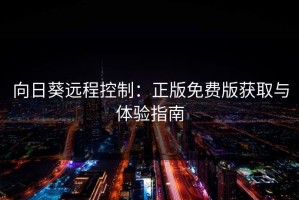 向日葵远程控制：正版免费版获取与体验指南