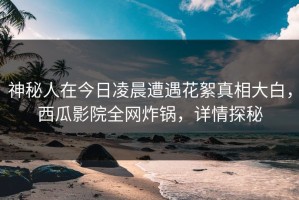 神秘人在今日凌晨遭遇花絮真相大白，西瓜影院全网炸锅，详情探秘